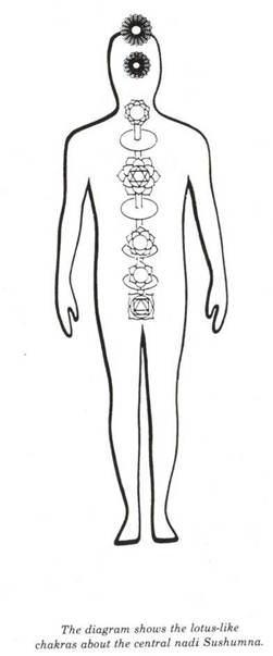 Description: D:\Dropbox\Dropbox\Meditation_Baker\Meditation 1_files\image003.jpg